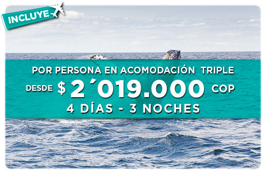 Bahia Solano, Bahía Solano, Chocó, choco, ballenas, avistamiento, viajes, expreso, turismo, agencia, plan.